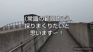 第273話 ビノス8＠江戸川放水路 2022年6月19日