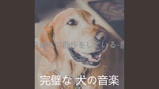 気持ち (犬を連れて散歩をしている)