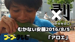 むかない安藤4K「アロエ」(10秒動画)