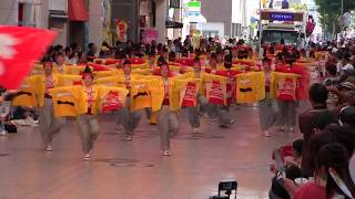 よさこい全国大会(2017/8/12)「京町・新京橋「ゑびすしばてん連」」