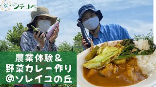 シテコベ農業体験＆採れたて野菜カレー作り@ソレイユの丘