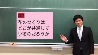 授業「花のつくり（１）」｜理科｜植物の体のつくり｜中１｜群馬県