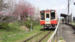 天浜線 花だより 円田駅（Tenryu Hamanako Railroad）