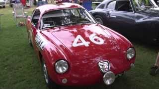 Windwood Car Clip 1 | 1956 Fiat Abarth 750 Gt Corsa