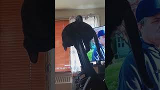 OxvxUB2J4eU