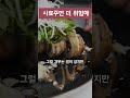 횟집생선은 먹이를 줄까 shorts