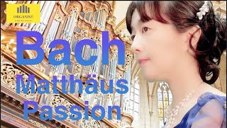 Bach  【St.Matthew Passion 】Organ