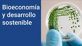 Bioeconomía: Ejemplos de qué es y cómo influye en el desarrollo sostenible