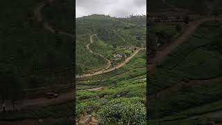 Elappara Vagamon Road