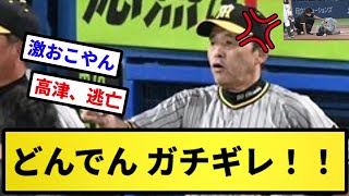 【近本死球事件】どんでん ガチギレ！！【反応集】【プロ野球反応集】【2chスレ】【5chスレ】