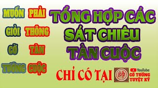 Tổng hợp các sát chiêu tàn cuộc trong Cờ tướng - Muốn giỏi cờ tàn cần phải ghi nhớ (P1).