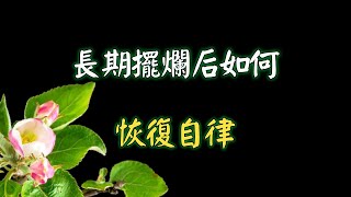 長期擺爛后如何恢復自律