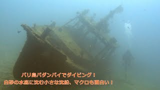 バリ島パダンバイでダイビング！小さな沈船にマクロも面白い