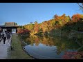 Kodaiji Temple Kyoto Japan 2024 Nov 11