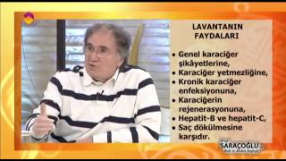 Lavantanın Faydaları ve Lavanta Kürü - DİYANET TV