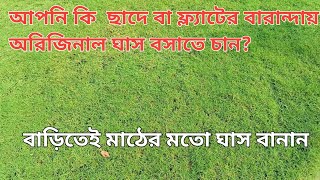 আপনি কি বাড়ির ছাদে বা ফ্ল্যাটের বারান্দায় অরিজিনাল ঘাস বসাতে চান। তা হলে ভিডিও টি আপনার জন্য