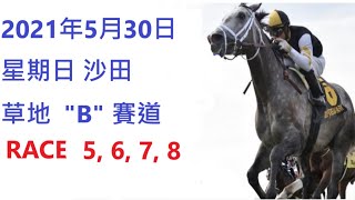 2021/05/30 香港賽馬貼士 HONG KONG HORSE RACING TIPS RACE 5 6 7 8