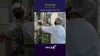 [소비더마켓] 양파의 모든 것을 그대에게💜자색 양파즙🧅 #shorts