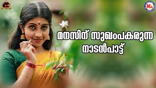 മനസ്സിന് സുഖം പകരുന്ന നാടൻപാട്ട് | nadanpattukal malayalam | mc audios and videos |