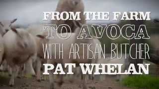 From the farm to Avoca with Pat Whelan