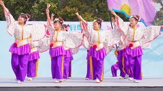 [4K]貝塚よさこい「舞人」～まいびと～　1部 貝塚みずま春フェスタ2018(中央)