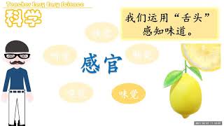 #一年级 #科学技能 #感官 #SJKC #SCIENCE #LearnAbout5Senses #K1 #K2 #学前教育 #幼儿园