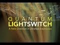 Public Lecture—Quantum Lightswitch: A New Direction in Ultrafast Electronics