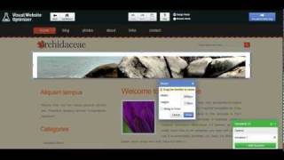 Visual Website Optimizer