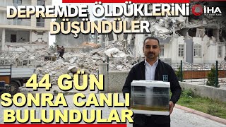 Depremde Öldü Diye Düşündükleri Balıkları 44 Gün Sonra Canlı Bulundu