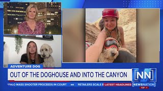 Winston the canyon-scaling dog | NewsNation Prime