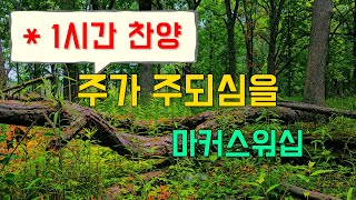 (1시간찬양) 주가 주되심을 - 마커스워십(인도: 소진영) [일상찬양]