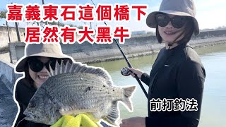 嘉義東石這個橋下居然有大黑牛！在地人才知道的釣點。前打釣魚。#娟娟去哪兒