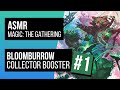 ASMR Magic the Gathering | Collector Booster Pack Opening 1 | Bloomburrow