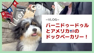 【バーニドゥードゥルとアメリカ発のThree Dog Bakery 】100％ナチュラルの無添加おやつ、おもちゃをご紹介！