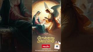 #കനക_താരം_കണ്ണു_ചിമ്മി #frmathewspayyappillymcbs #sunishvf #christmassongs #lifeday