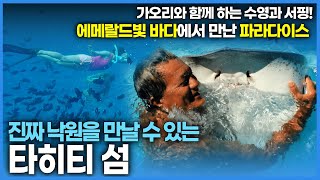 보라보라 섬에서는 가오리와 수영을 할 수 있다는데… 치명적 매력의 낙원 타히티 섬