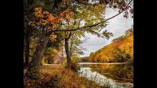 Rockefeller State Park Preserve-My Favorite Seasons