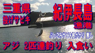 #120三重県紀伊長島漁港2024年12月中旬　紀伊長島漁港　沖の大突堤詳しい道順案内下記URLをコピーして検索欄に貼り付けて視聴下さいhttps://youtu.be/x2oGfGMRLpg