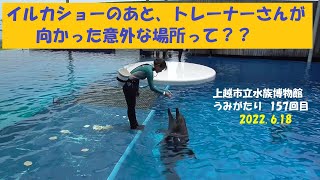 イルカショーのあとに意外なところへ・上越市水族館うみがたり（2022.6.18）