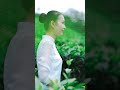 姑娘清新脱俗的气质和茶山融为了一体