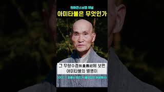 나무아미타불 아미타불은 무엇인가 무량수경 12광불 #청화스님