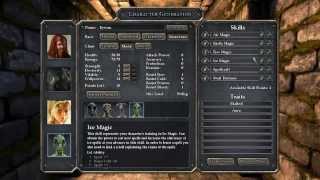 Legend of Grimrock Best Party Build Latest Update (After Winning The Game)