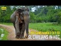 2,000 Guns Handed Out  To Sri Lankan Civilians in Human Elephant Conflict