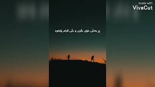 ڤیدۆیەکی..ناوازە بەهێزی واتایی دڵ ڕەقی نییە🙂✋