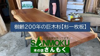 【オスモカラー塗装】樹齢200年の杉一枚板【木の店さんもく】How To Apply Oil Stain Finish To Japanese Old Cedar