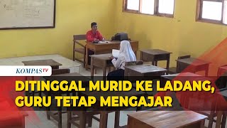 Fakta Guru di Situbondo Tetap Mengajar walau Sekelas Hanya 1 Murid dan Sisanya ke Ladang