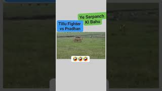 ye #sarpanch# ki #Bahu# Tillu# fighter #vs pradhan 🤣😂🤣😂