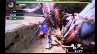 mh4g　初期装備～ダイミョウザザミ　操虫棍２４