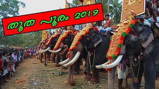 Thootha Pooram 2019 | തൂതപൂരം 2019 |