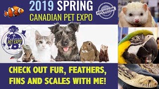 Spring Pet Expo! | All Animal Expo!